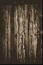  (335Wx500H) - Old Door Grand Canyon 