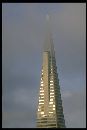  (333Wx500H) - TransAmerica Tower San Francisco 