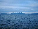 View from the Bridge (640Wx480H) - Trip To Alaska in 2000  