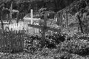 Abandoned Graveyard (1500Wx1000H) - Abandoned Grave Yard - Greenland - 2008 