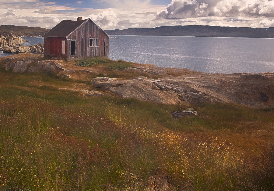 Download Abandoned Home  (900Wx629H)