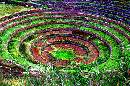 Agri Pit (600Wx399H) - Experimental Agricultural Circle - Peru 