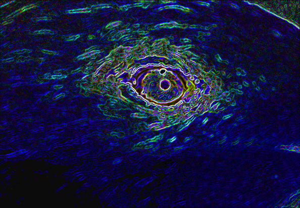 Download Bird's Eye (594Wx413H)