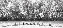 Rowers -  (1380Wx600H) - Rowers Pinched- 2009 