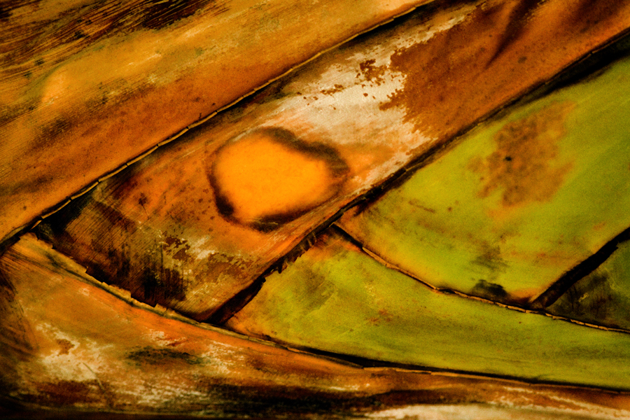 Download Bark (900Wx600H)