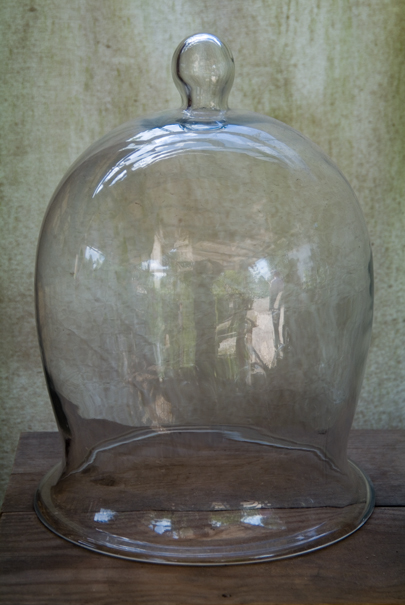 Download Bell Jar (405Wx605H)
