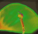 (600Wx540H) -  