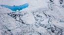Blue Batwing in Snow (1000Wx544H) - Blue Batwing in Snow - Shot from Helicopter - Greenland - 208 