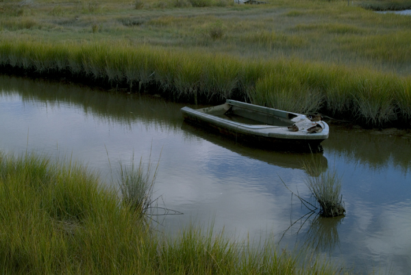 Download Tangier Island (600Wx402H)