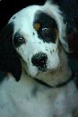  (450Wx675H) - Chloe 2001 