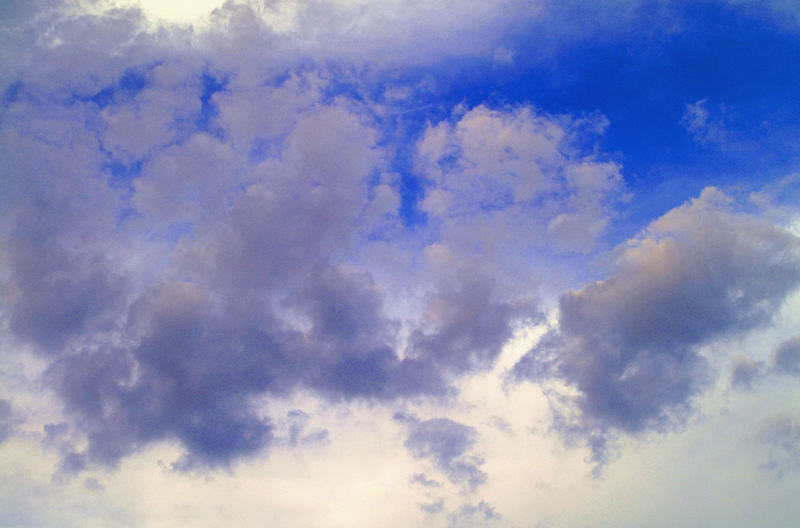 Download  (800Wx528H)