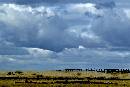 Clouds Over Fence (1200Wx800H) - Clouds over Fence - Perrigrine Foundation - Boise - 2010 