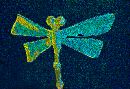  (540Wx368H) - Greg's Chicago Zoo DragonFly 