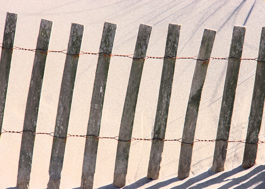 Download Dunes (900Wx642H)