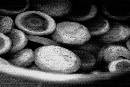 Eggplants (900Wx600H) - Eggplants - Lido - 2008 