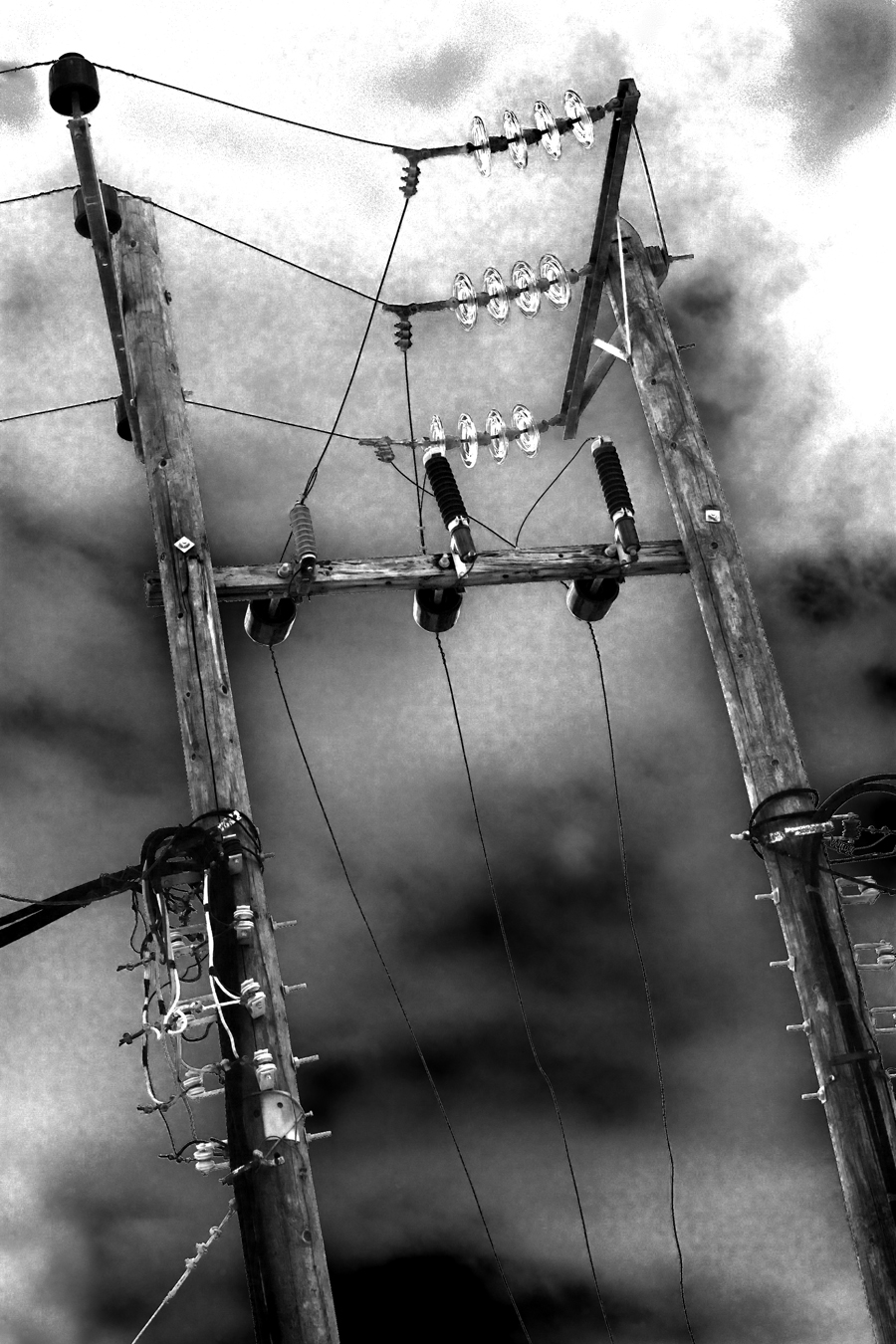 Download Electric Lines (900Wx1350H)