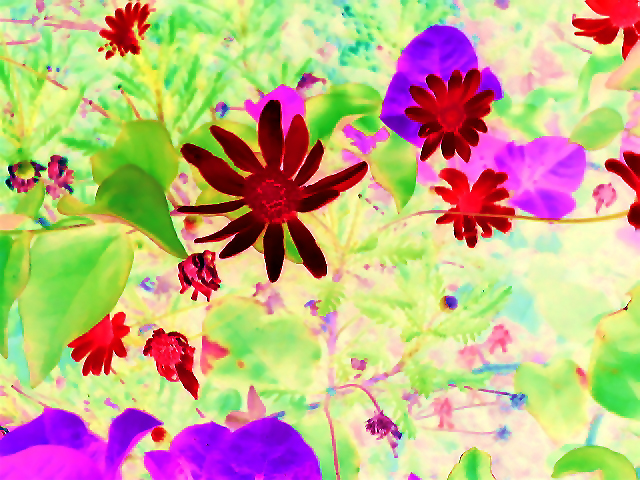 Download  (640Wx480H)