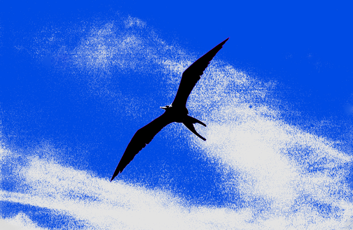 Download  (700Wx456H)