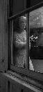 Face in Window (479Wx1000H) - Face in the Window - Philadelphia - 2009 