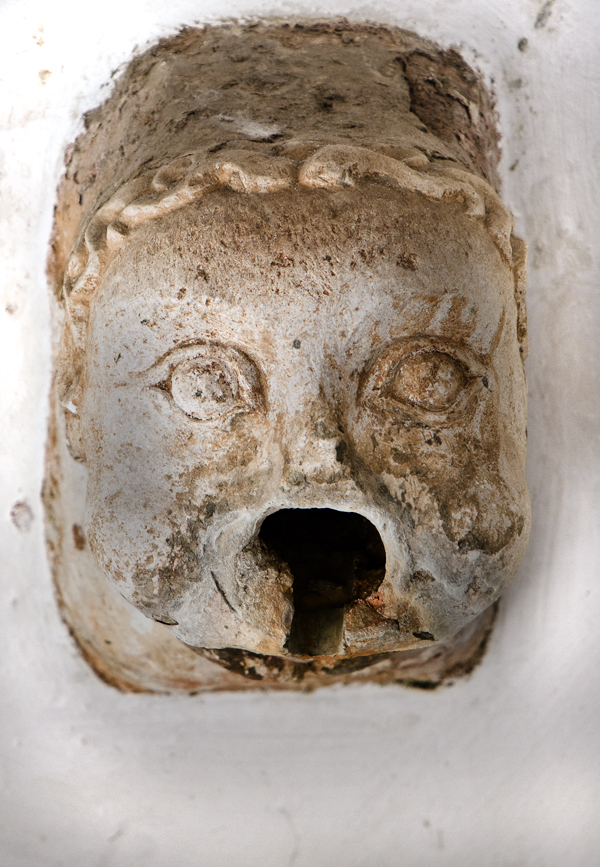 Download Face (600Wx867H)
