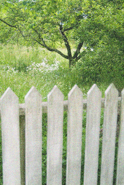Download Williamsburg (403Wx603H)