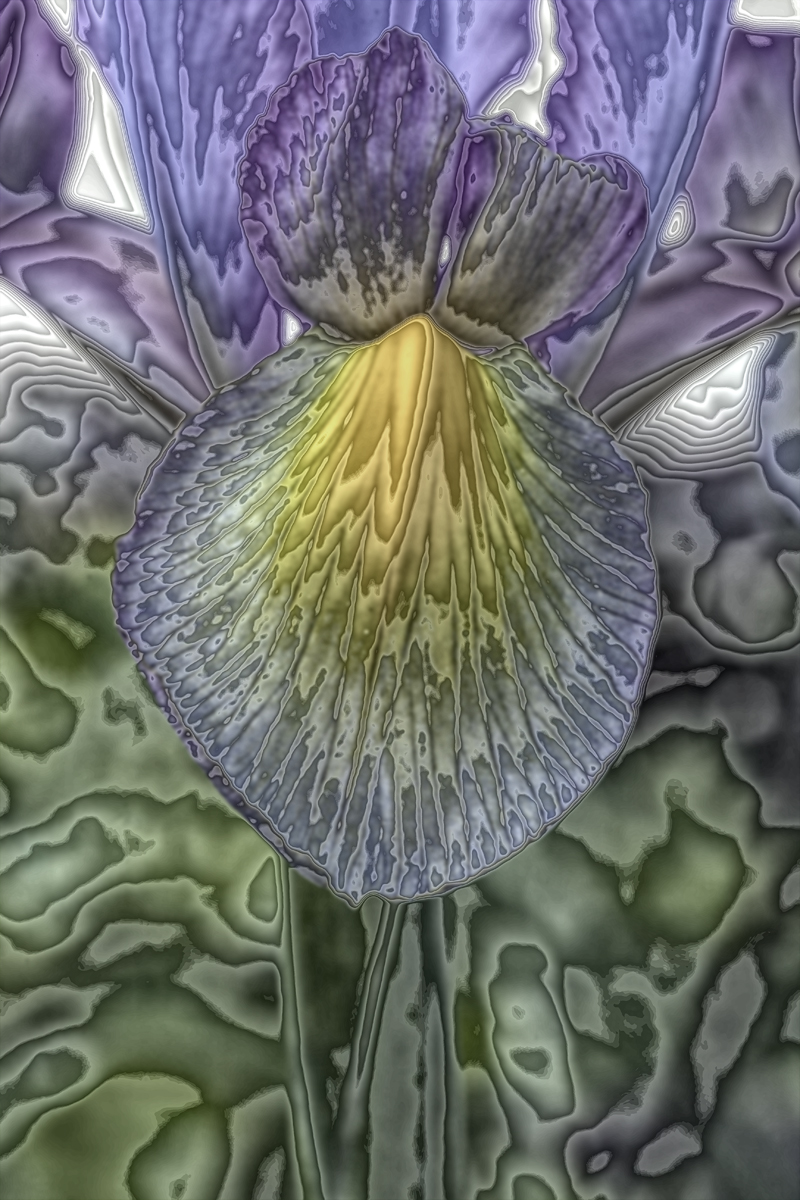 Download Flower Power 1 (800Wx1200H)