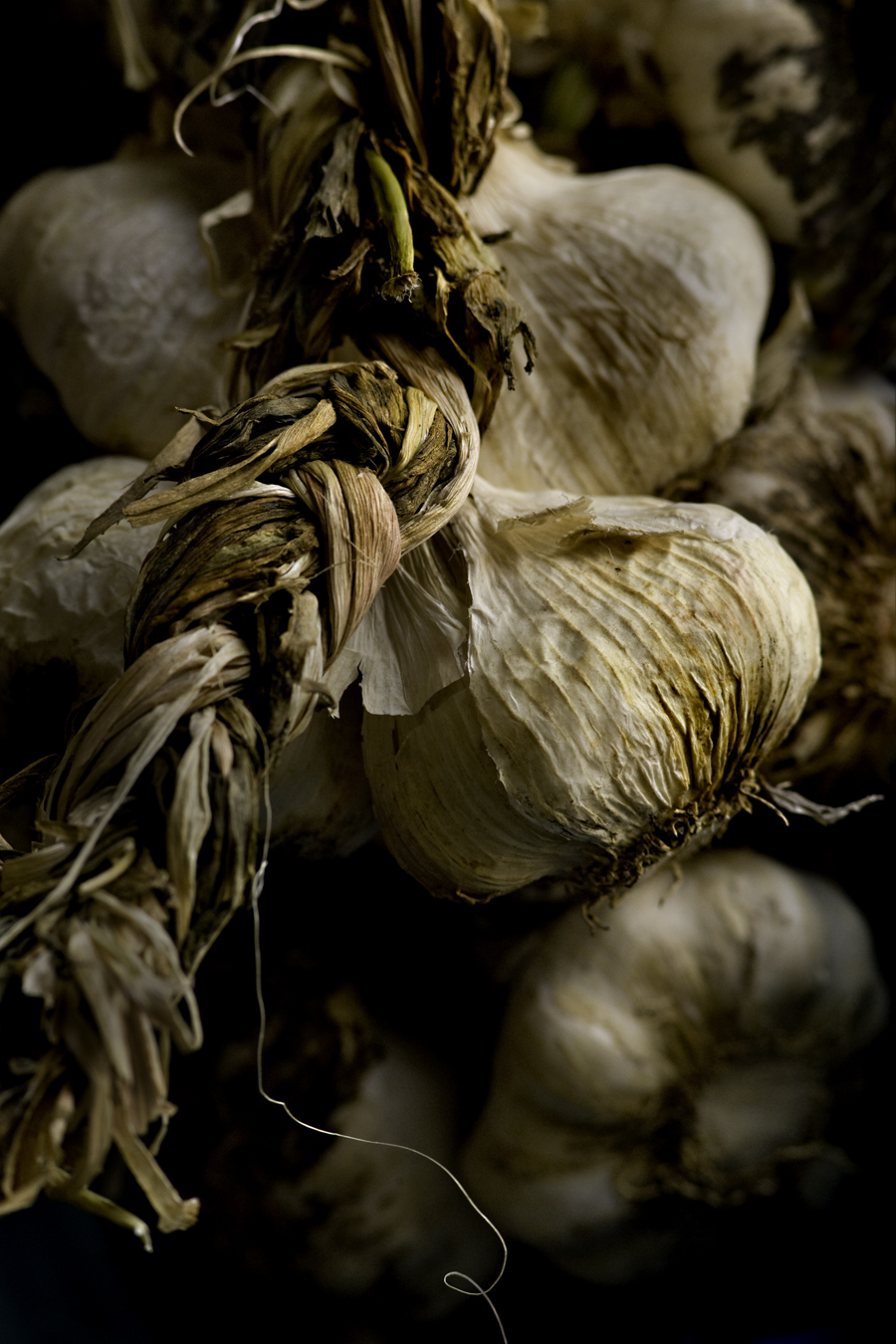 Download Garlic - Athens (900Wx1350H)