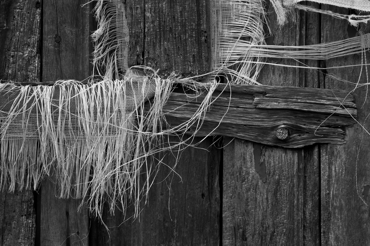 Download Goat Door - B&W (1400Wx933H)