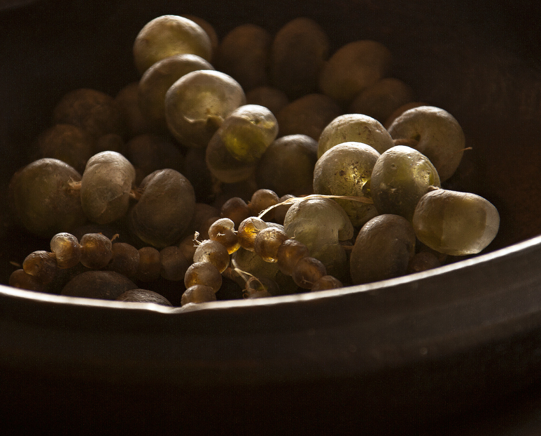Download Grapes (1115Wx900H)
