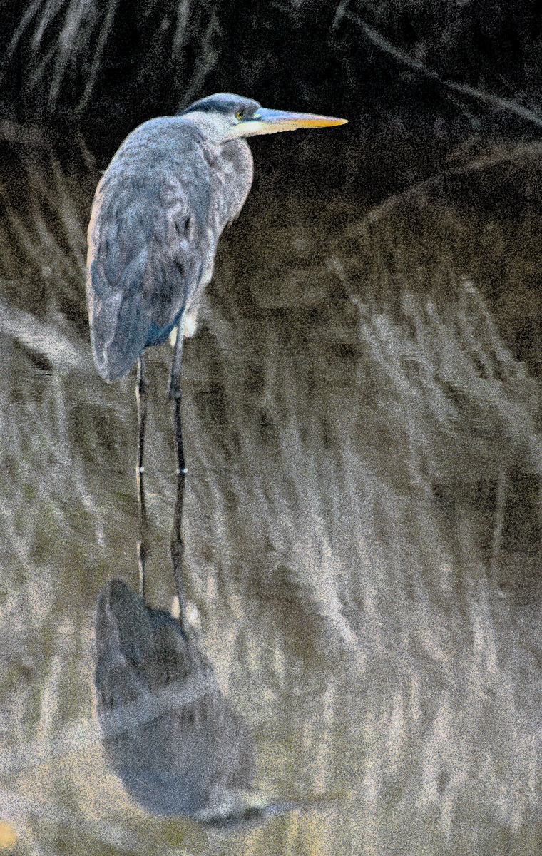 Download Great Blue - Water (760Wx1200H)