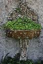 Green Fountain 2 (447Wx670H) - Green Fountain 2 - Cumberland Island - Greyfield 