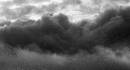 Heavy Weather (1476Wx800H) - Heavy Weather - 2009 