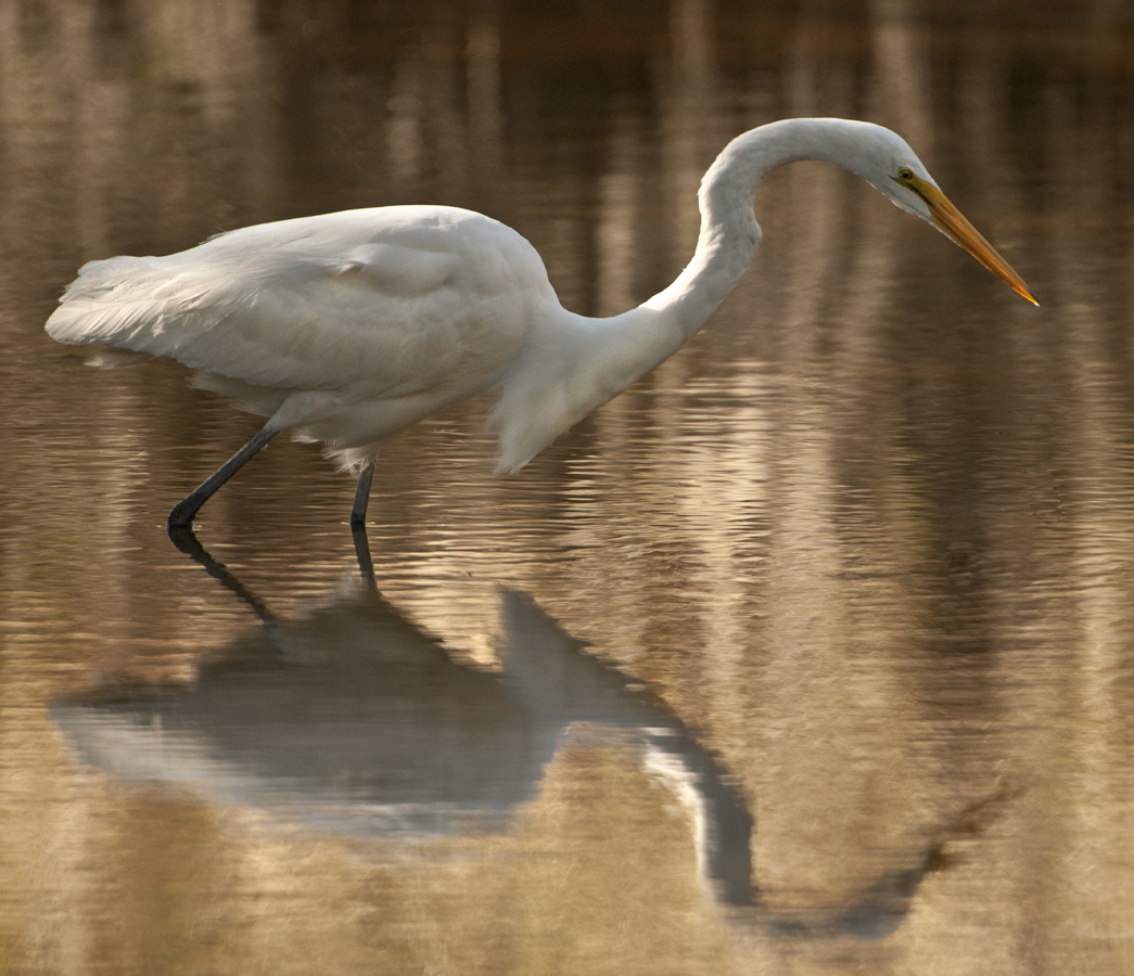 Download Looking at You 2 (1045Wx900H)
