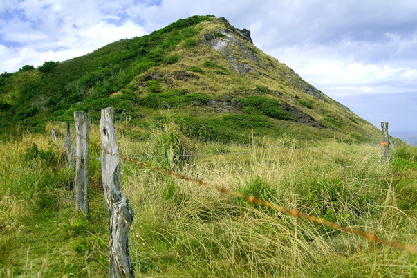 Download Hillside1 - Mauii -  (603Wx402H)