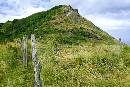 Hillside1 - Mauii -  (603Wx402H) - Hillside1 - Mauii - 2005 