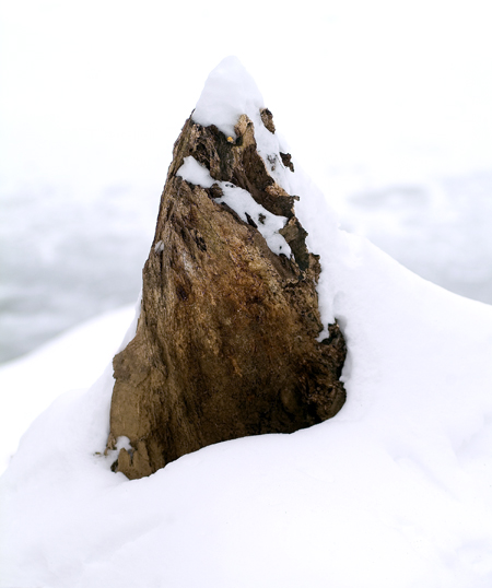 Download IceRock (450Wx538H)