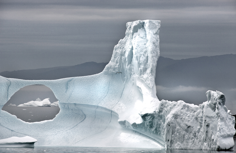 Download Iceberg with Bird (900Wx584H)