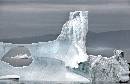 Iceberg with Bird (900Wx584H) - Iceberg with Bird - Greenland - 2008 