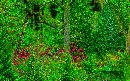  (700Wx438H) - Imaginary Woods 2002 