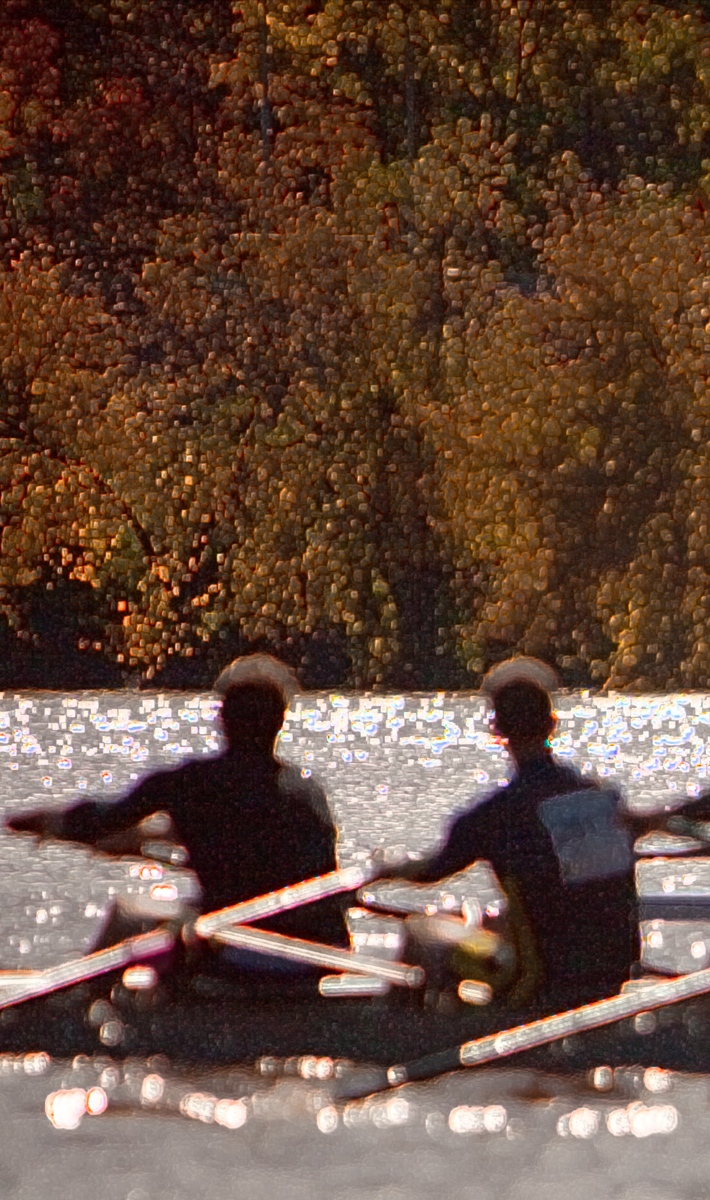 Download In the Water -  (710Wx1200H)