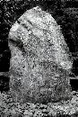  (455Wx683H) - Rock - Japanese Garden - Portland - 2002 