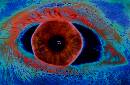 Jo-Ann's Eye (612Wx402H) - Jo-Ann's Eye 