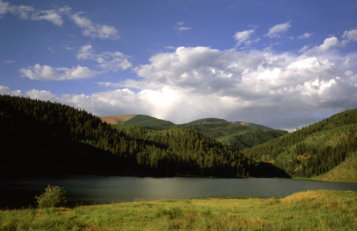 Download  (700Wx454H)