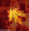  (372Wx406H) - Magic Leaf 
