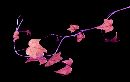  (720Wx453H) - Leaf as Slender as Life 