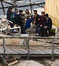 Lunchtime (700Wx787H) - Lunchtime Chat - Greenland - 2008 