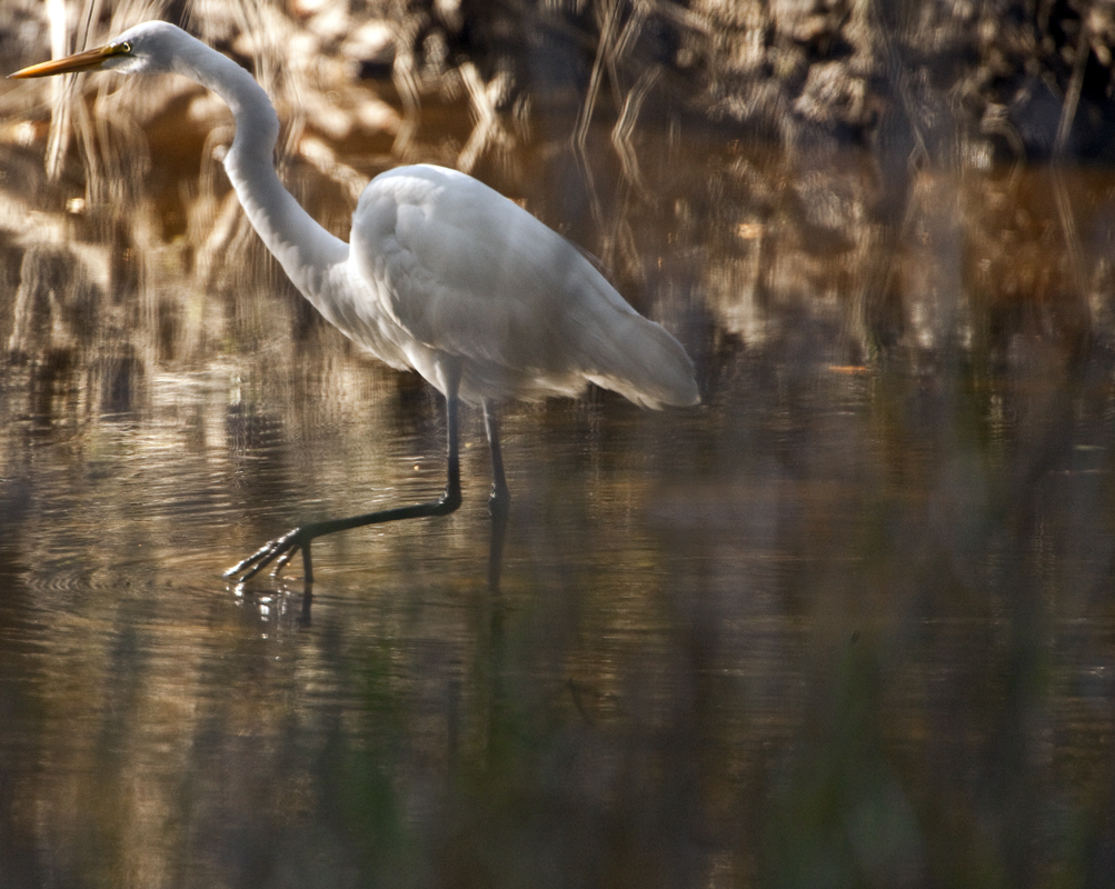 Download Way Back Babe (1003Wx800H)