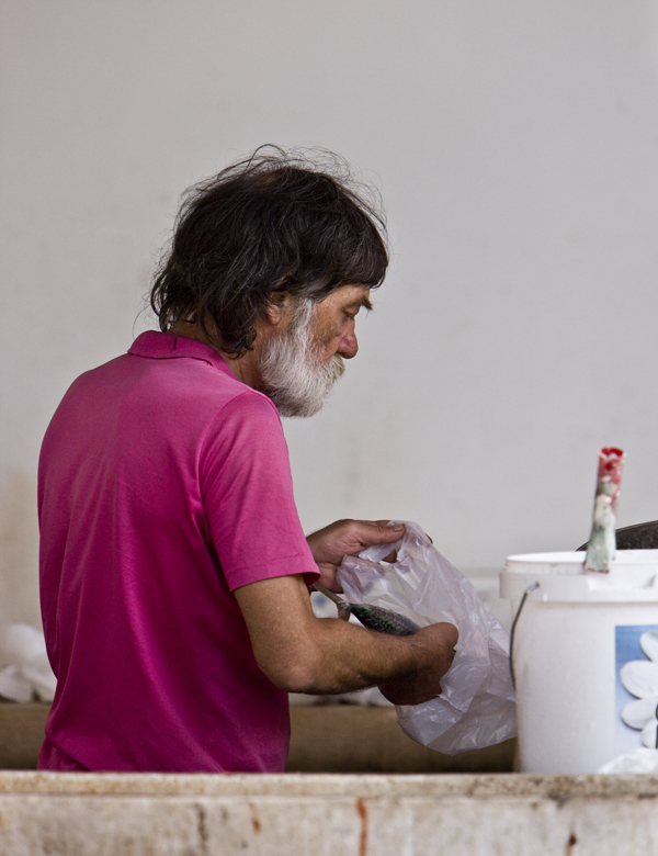 Download Man With Fish (600Wx780H)