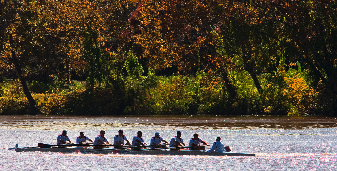 Download Red & Blk Oars (1181Wx600H)
