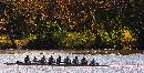 Red & Blk Oars (1181Wx600H) - Men Red & Black Oars - 2009 